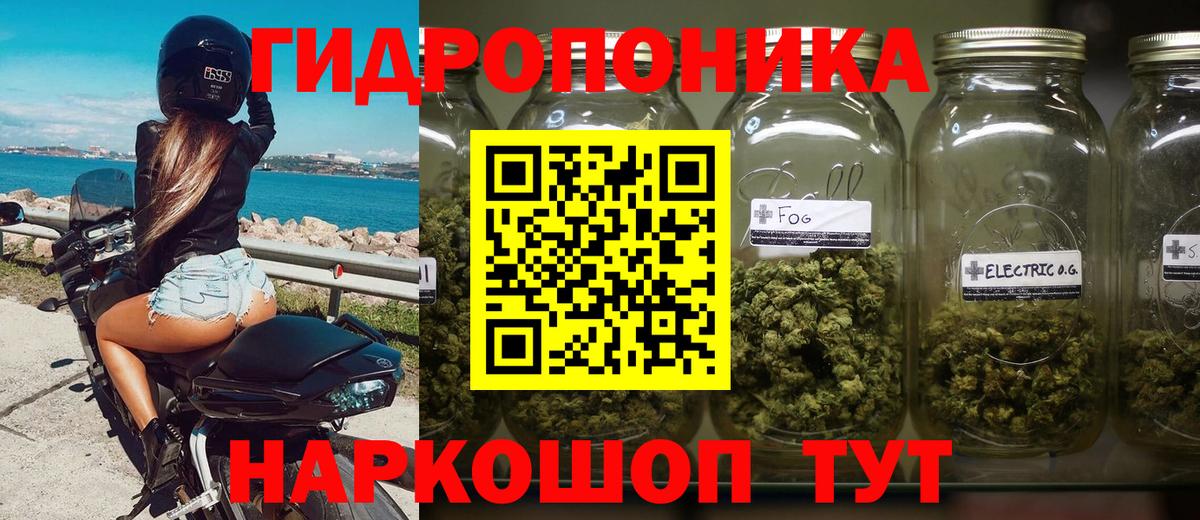 Канабис семена Боровичи